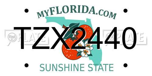 TZX2440 Florida License Plate