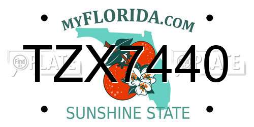 TZX7440 Florida License Plate