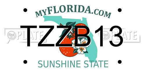 TZZB13 Florida License Plate
