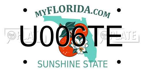 U006TE Florida License Plate