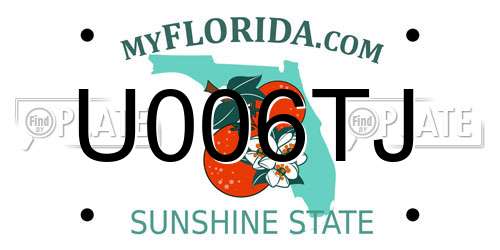 U006TJ Florida License Plate