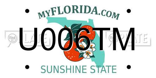 U006TM Florida License Plate