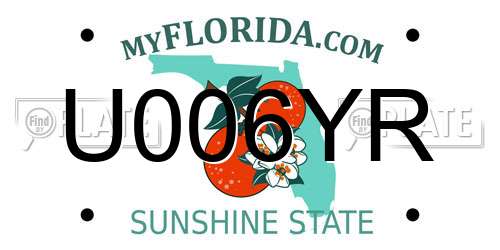 U006YR Florida License Plate