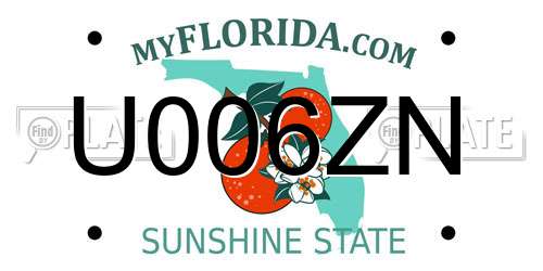 U006ZN Florida License Plate