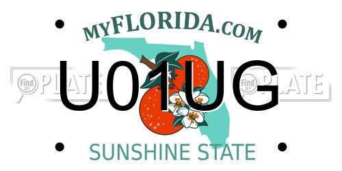 U01UG Florida License Plate