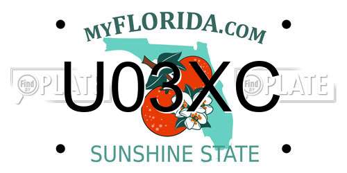 U03XC Florida License Plate