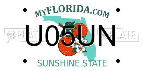 U05UN Florida License Plate