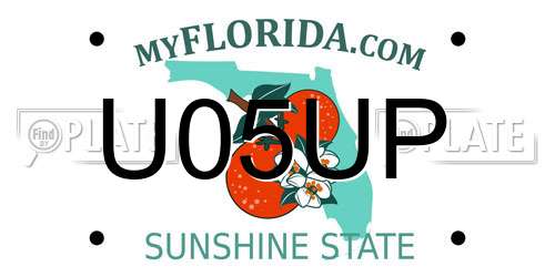 U05UP Florida License Plate