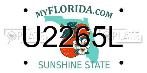 U2265L Florida License Plate