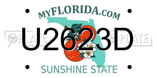 U2623D Florida License Plate