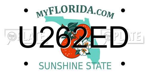 U262ED Florida License Plate