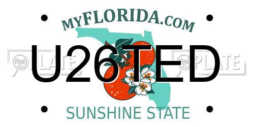 U26TED Florida License Plate