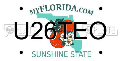 U26TEO Florida License Plate