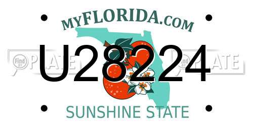 U28224 Florida License Plate