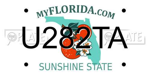 U282TA Florida License Plate
