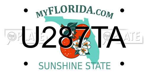 U287TA Florida License Plate
