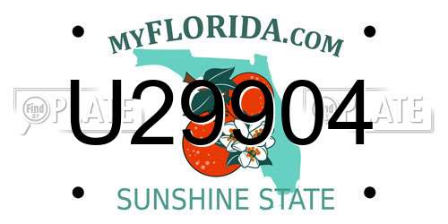 U29904 Florida License Plate