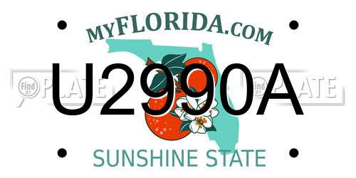 U2990A Florida License Plate