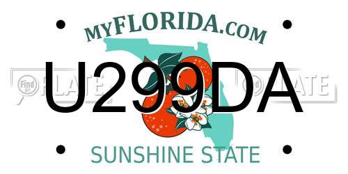 U299DA Florida License Plate