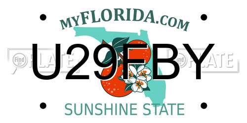 U29FBY Florida License Plate
