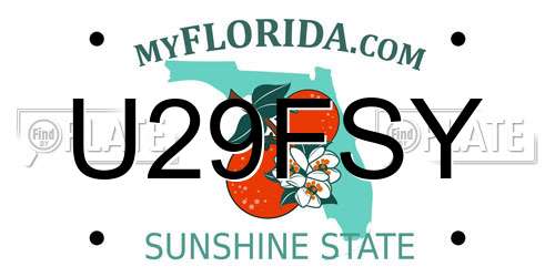 U29FSY Florida License Plate