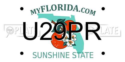 U29PR Florida License Plate