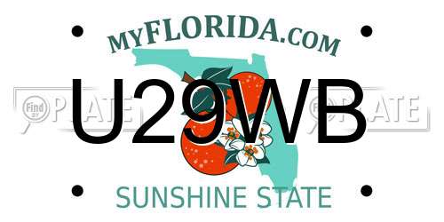 U29WB Florida License Plate
