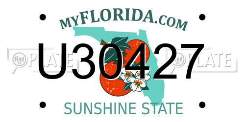 U30427 Florida License Plate