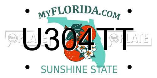U304TT Florida License Plate