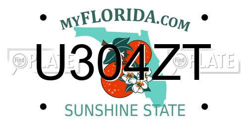 U304ZT Florida License Plate
