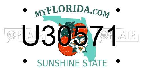U30571 Florida License Plate