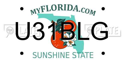 U31BLG Florida License Plate