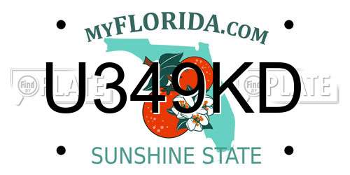 U349KD Florida License Plate