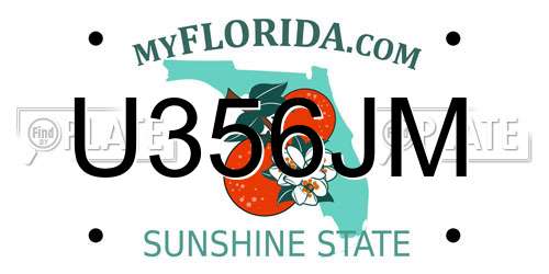 U356JM Florida License Plate