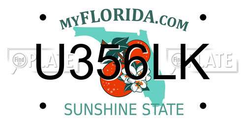 U356LK Florida License Plate