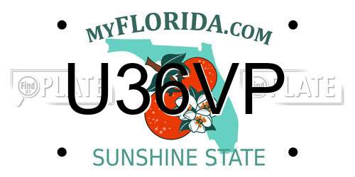 U36VP Florida License Plate