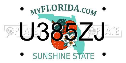 U385ZJ Florida License Plate