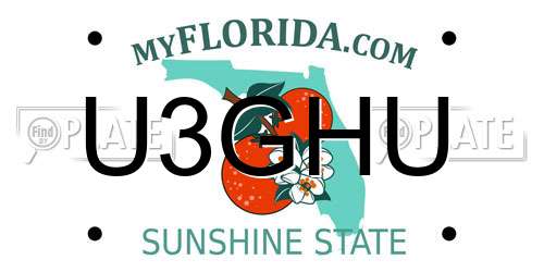 U3GHU Florida License Plate