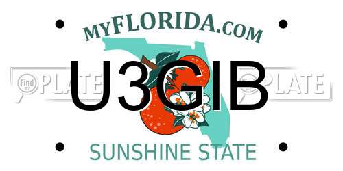 U3GIB Florida License Plate