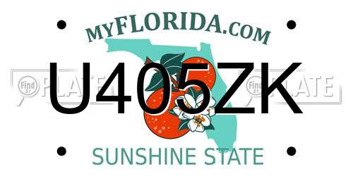 U405ZK Florida License Plate