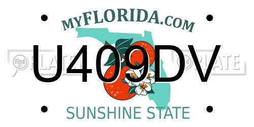 U409DV Florida License Plate
