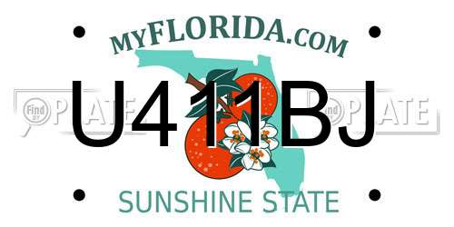 U411BJ Florida License Plate