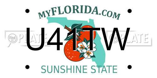 U41TW Florida License Plate