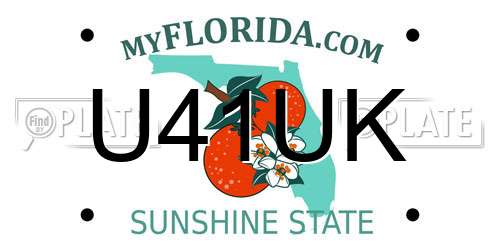 U41UK Florida License Plate