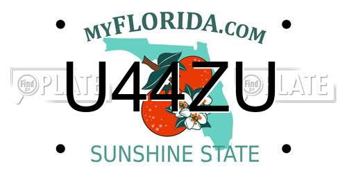 U44ZU Florida License Plate