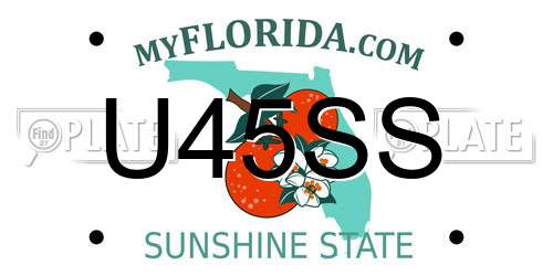 U45SS Florida License Plate