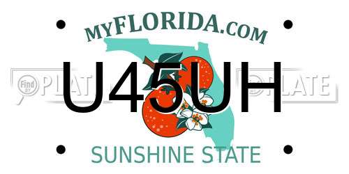 U45UH Florida License Plate