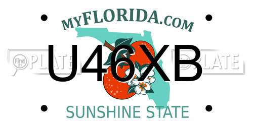 U46XB Florida License Plate