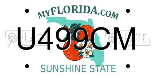 U499CM Florida License Plate