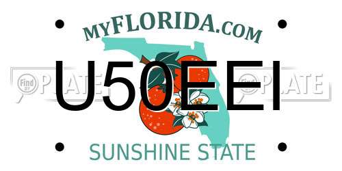 U50EEI Florida License Plate